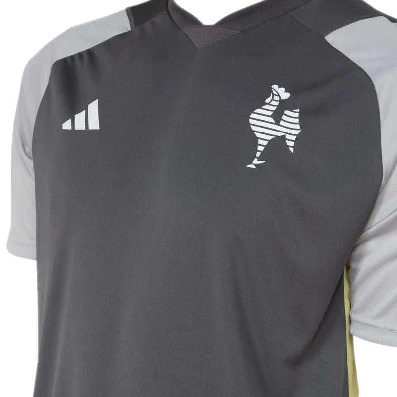 Camisa Atlético Mineiro Treino Comissão 24/25 - Cinza - JH ESPORTES - CAMISA DE TIMES