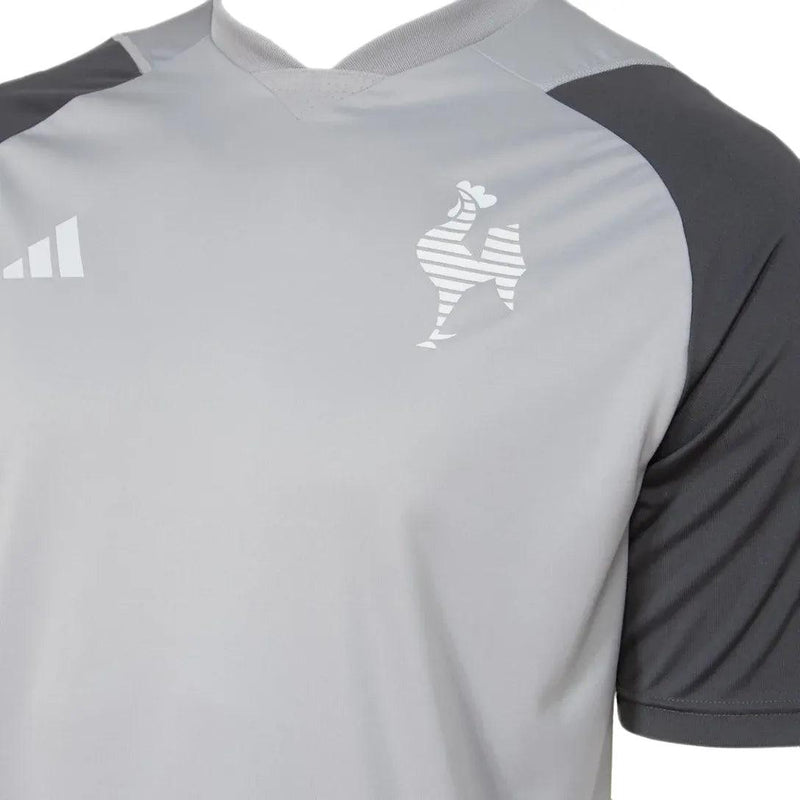 Camisa Atlético Mineiro Treino 24/25 - Cinza - JH ESPORTES - CAMISA DE TIMES